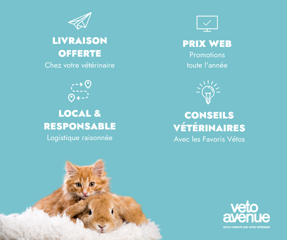 Nourriture et produit d'hygiène pour chat sur VetoAvenue